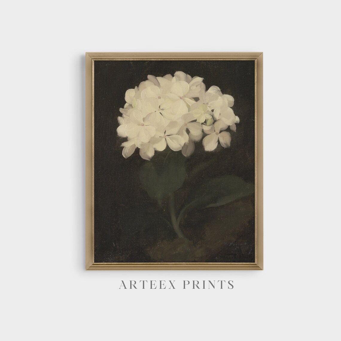 Hydrangea Vintage Botanical Art Print, Farmhouse Decor - Image 3