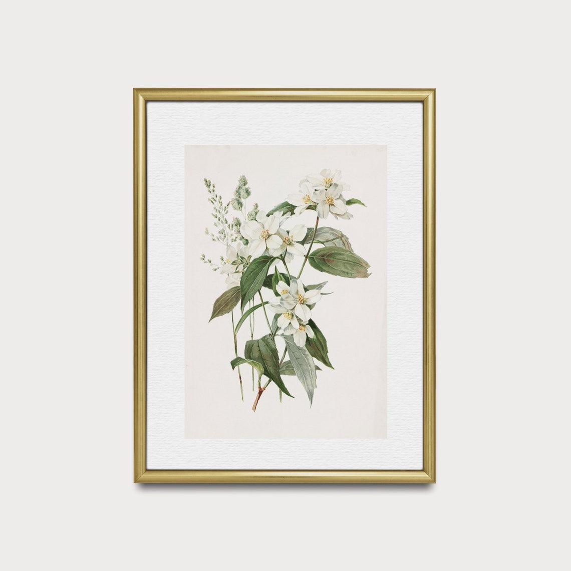 Vintage Botanical Print Antique Flower Art Wall Art Farmhouse French Country Decor Floral Painting - Image 5