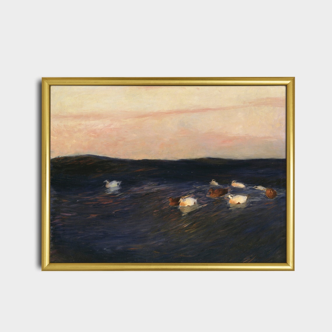 White and Brown Ducks Floating on Dark Water at Pink Sunset Poster - Image 2