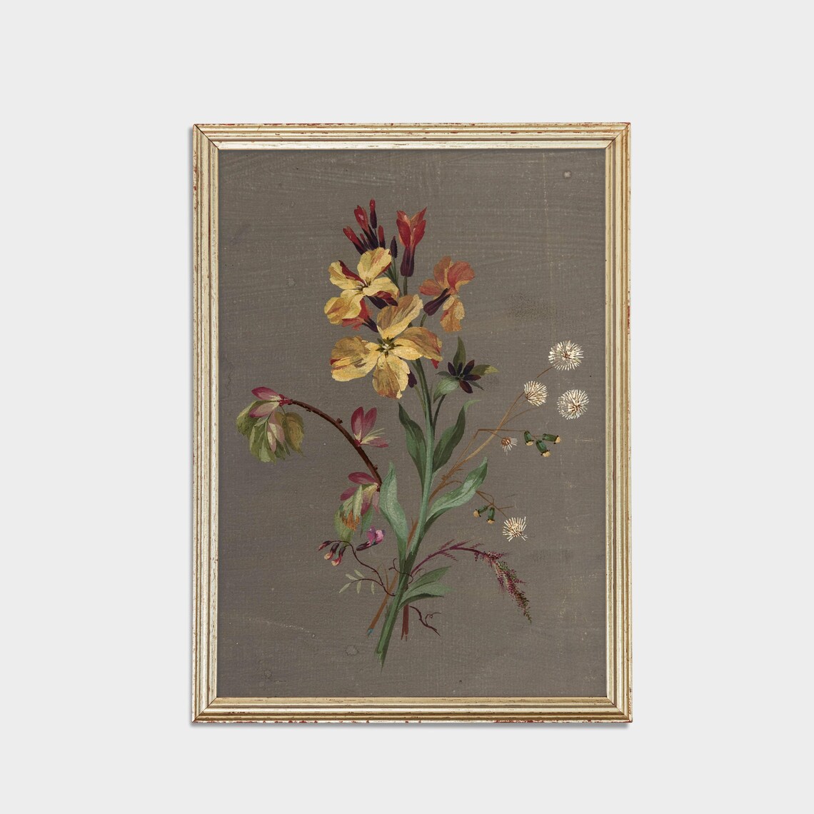 Antique Wallflower Botanical Sketch on Grey Paper Floral Poster - Image 2