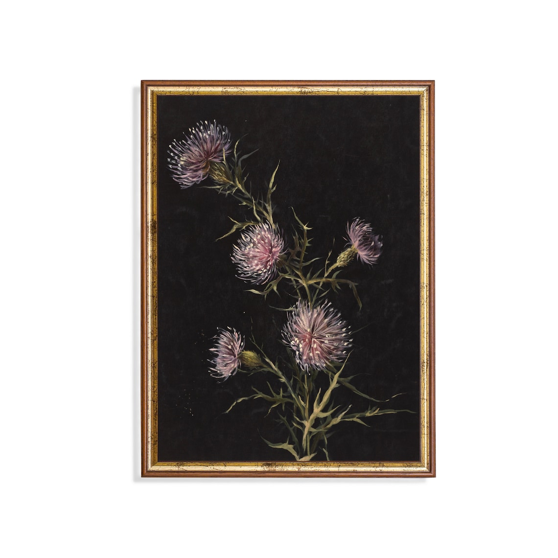 Moody Botanical Thistle Flower Painting on a Black Background Poster