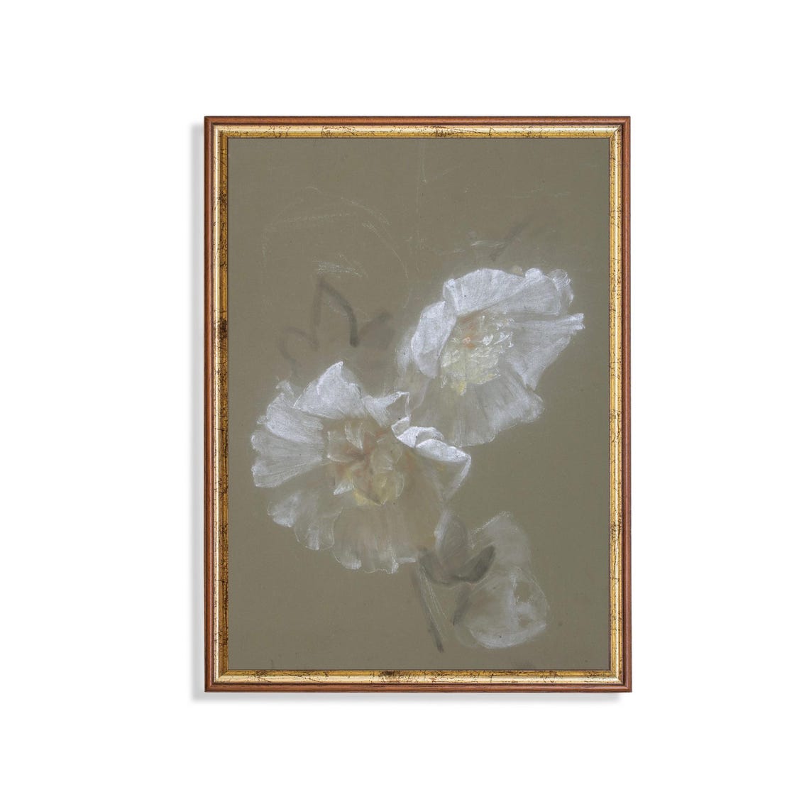 White Peony Blossoms Delicate Antique Botanical Study on Taupe Poster