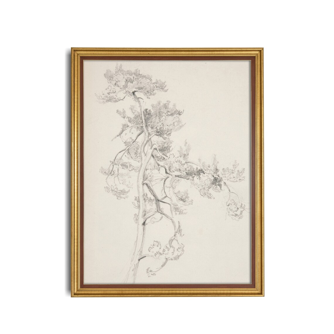 Printed And Shipped Vintage Foliage Print Antique Tree Drawing Rustic Sketch Print Minimalist Living Room Art Physical Prints - Image 5