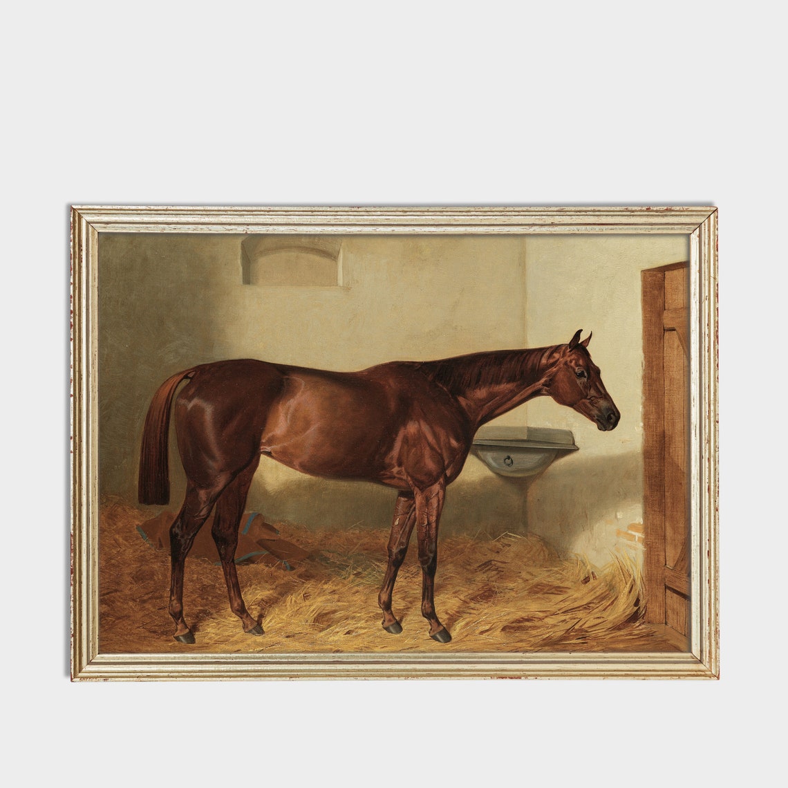 Bay Horse Standing in a Sunlit Stable Equestrian Portrait Poster - Image 2