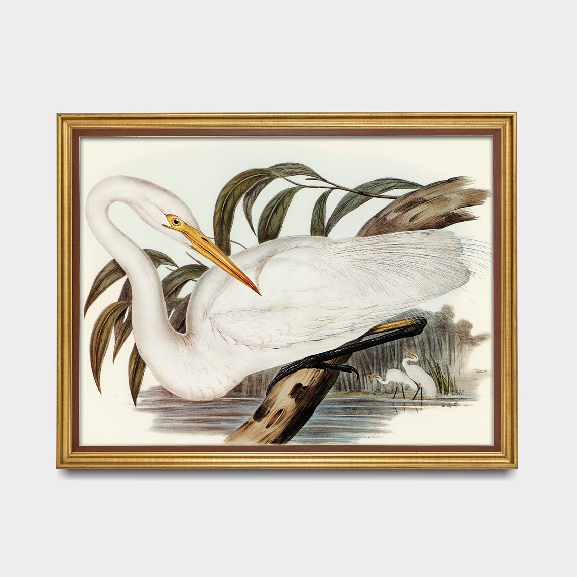 White Egret Perched on a Branch Over Water Vintage Bird Poster - Image 4