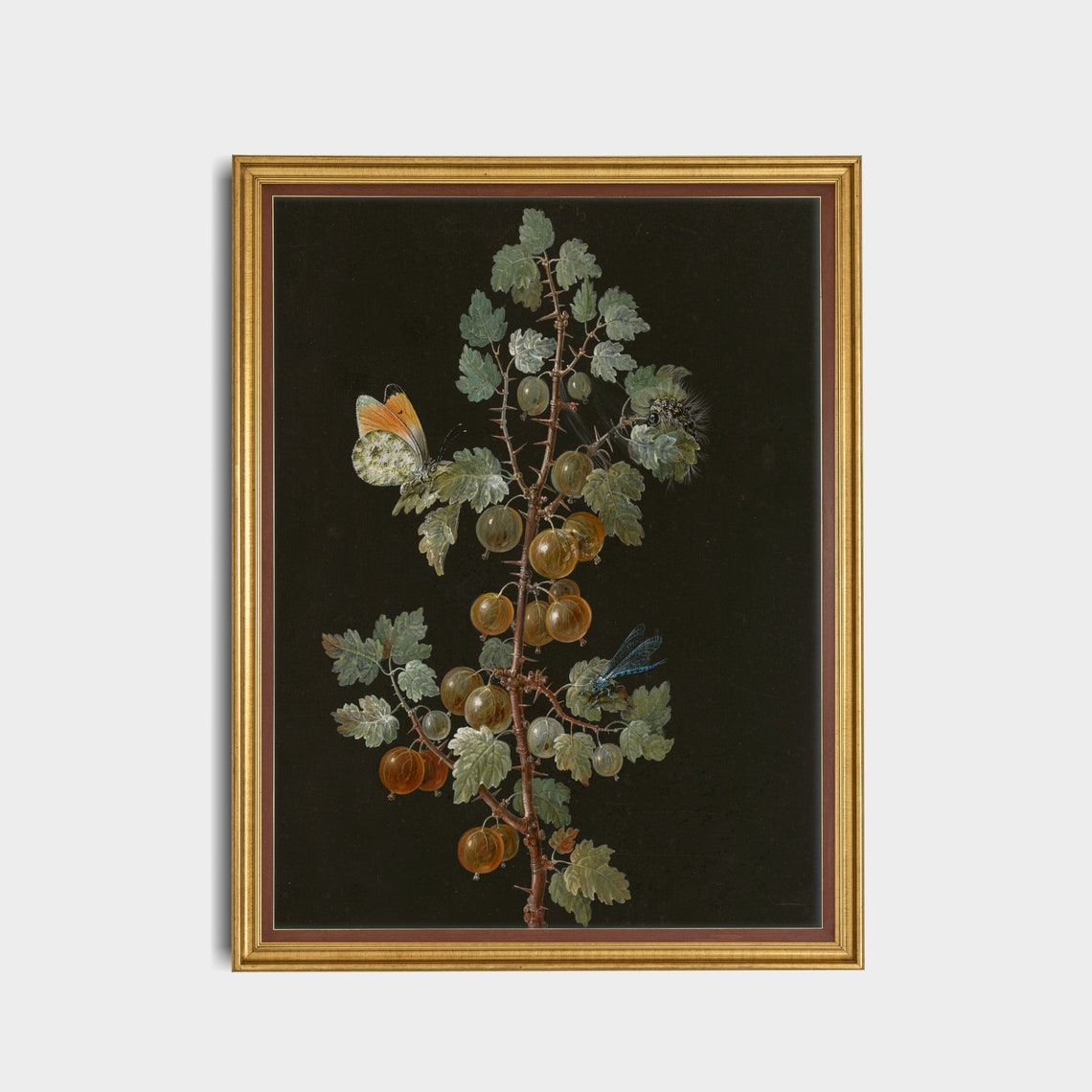 Gooseberry Branch With a Butterfly Botanical Still Life Art Print - Image 5