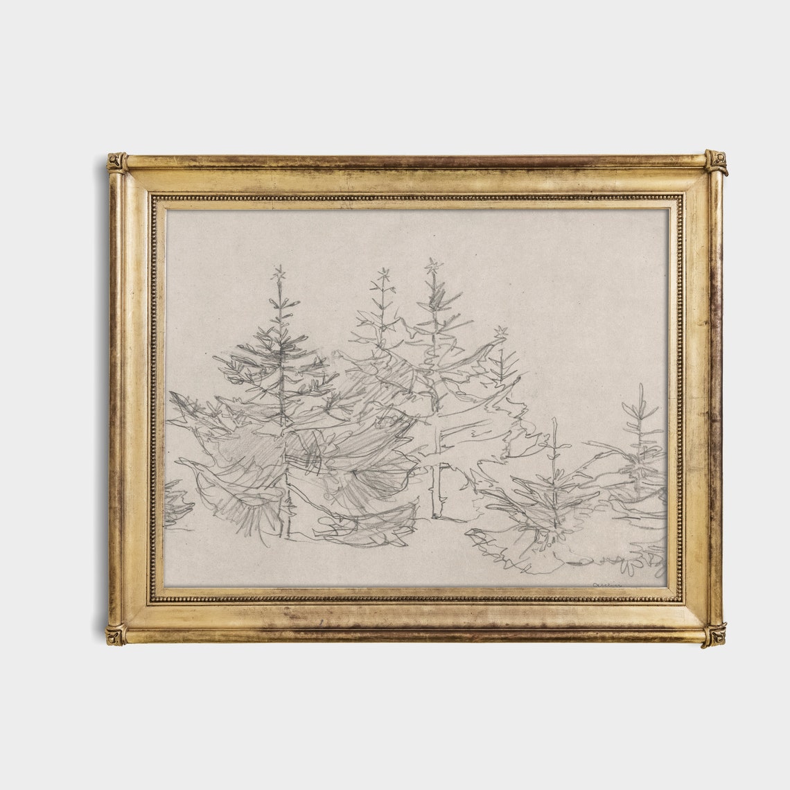 Antique Pine Tree Pencil Sketch Forest Study Neutral Vintage Print - Image 4