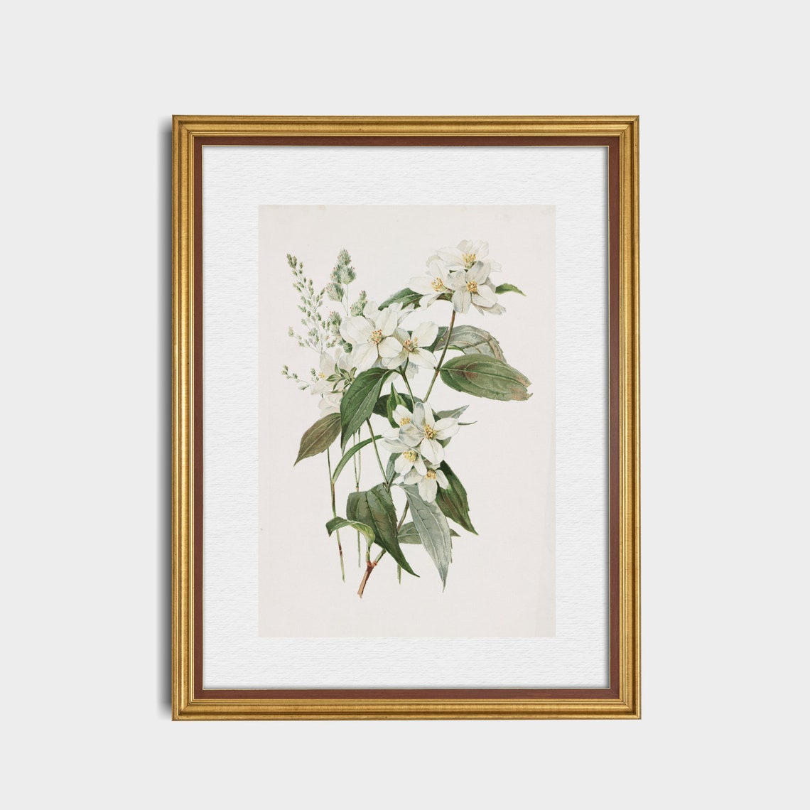 Vintage Botanical Print Antique Flower Art Wall Art Farmhouse French Country Decor Floral Painting - Image 2