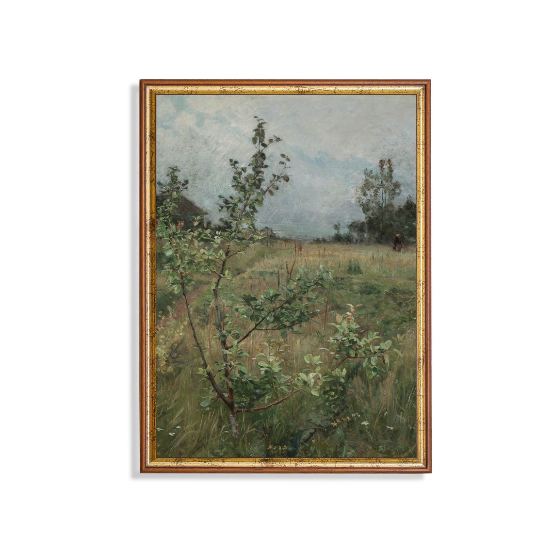 Young Saplings in a Green Spring Meadow Vintage Landscape Poster