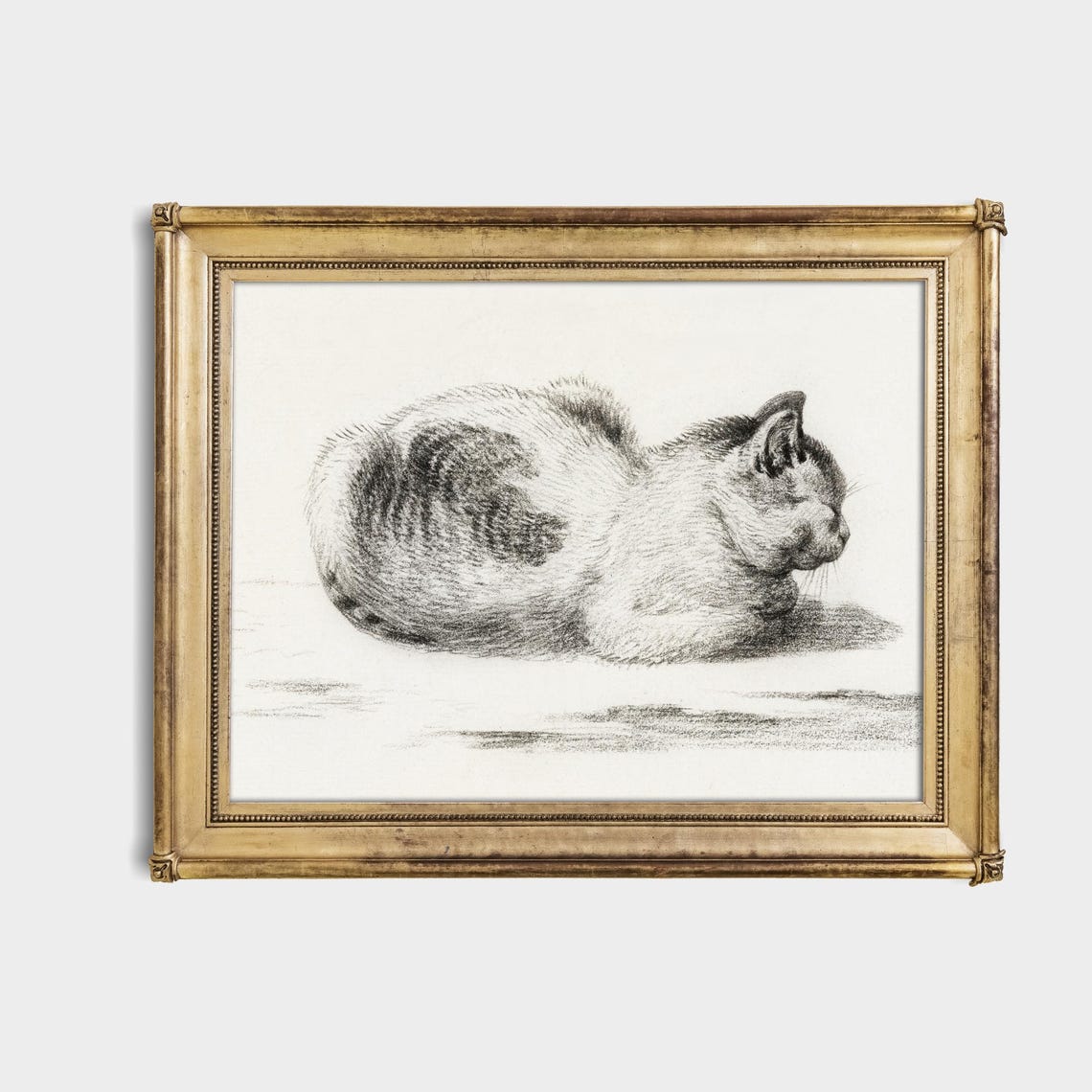 Sleeping Cat Curled Up Tight Vintage Graphite Sketch Art Poster - Image 4