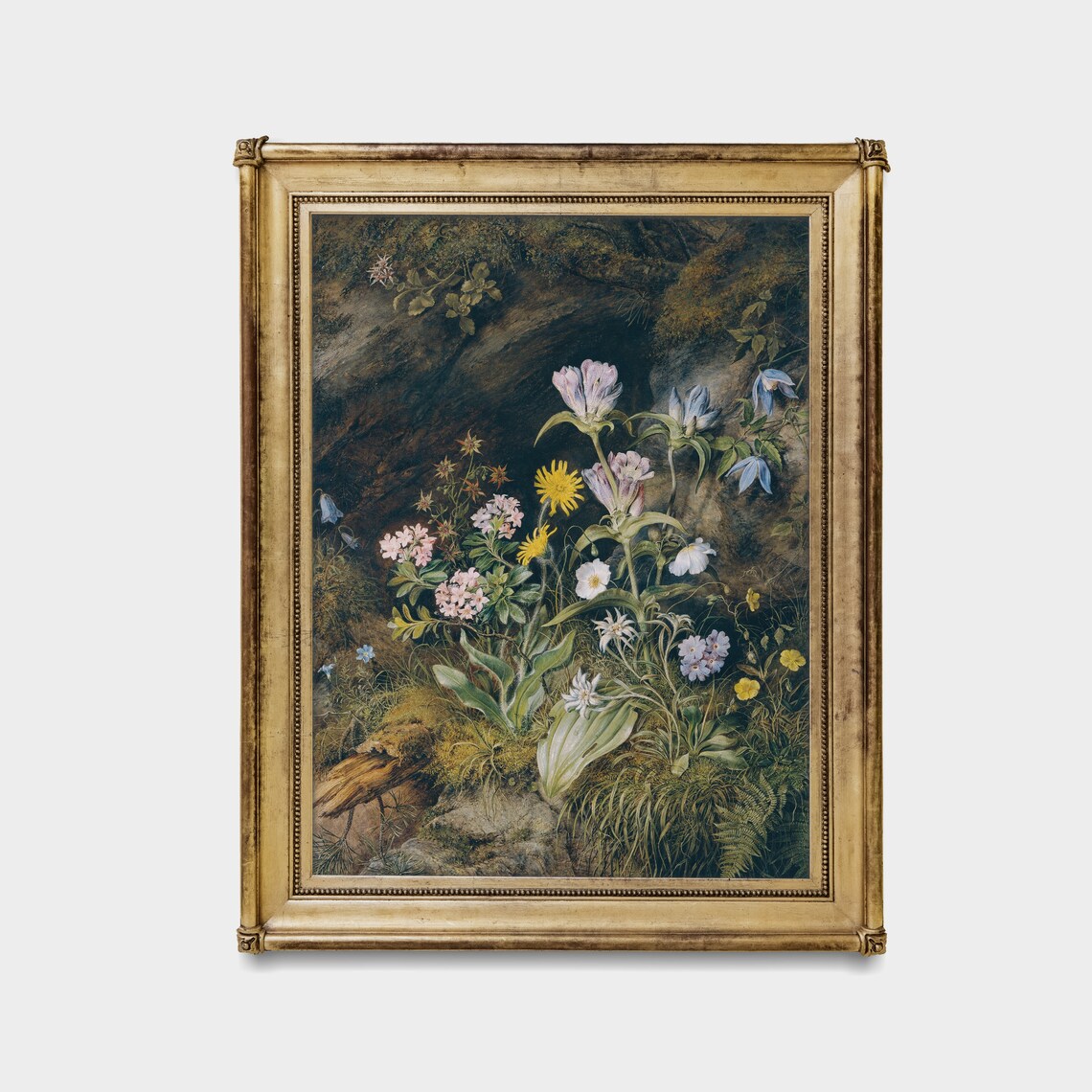 Wildflowers at a Rocky Cave Mouth Vintage Botanical Art Poster - Image 3