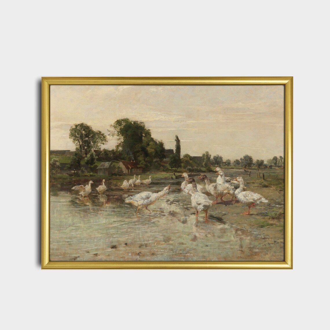 Flock of White Geese Wading at the Water Vintage Birds Poster - Image 5