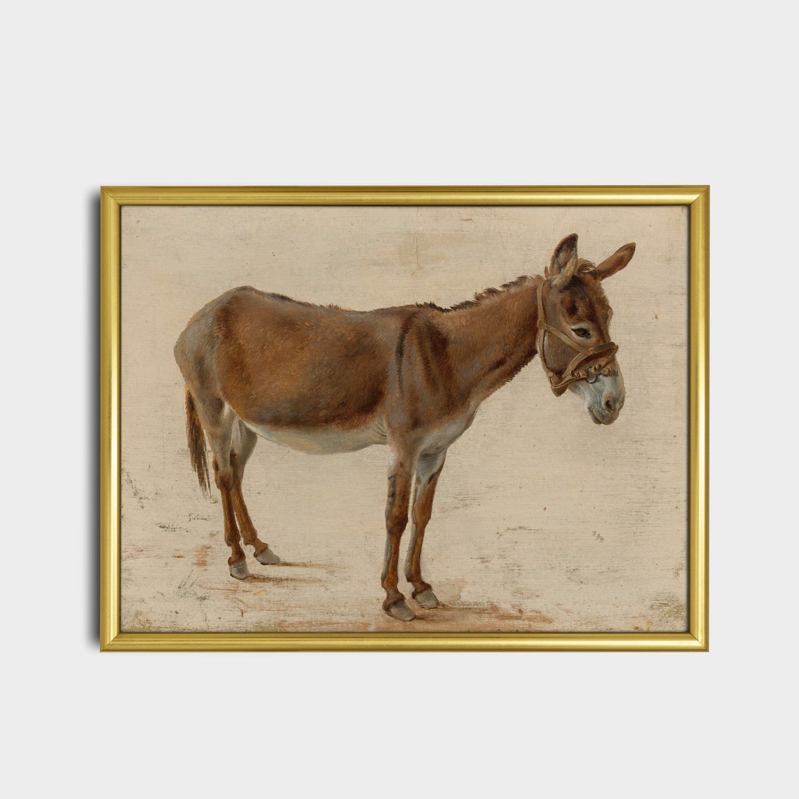 Standing Donkey with Bridle Vintage Antique Farm Animal Study Poster - Image 5