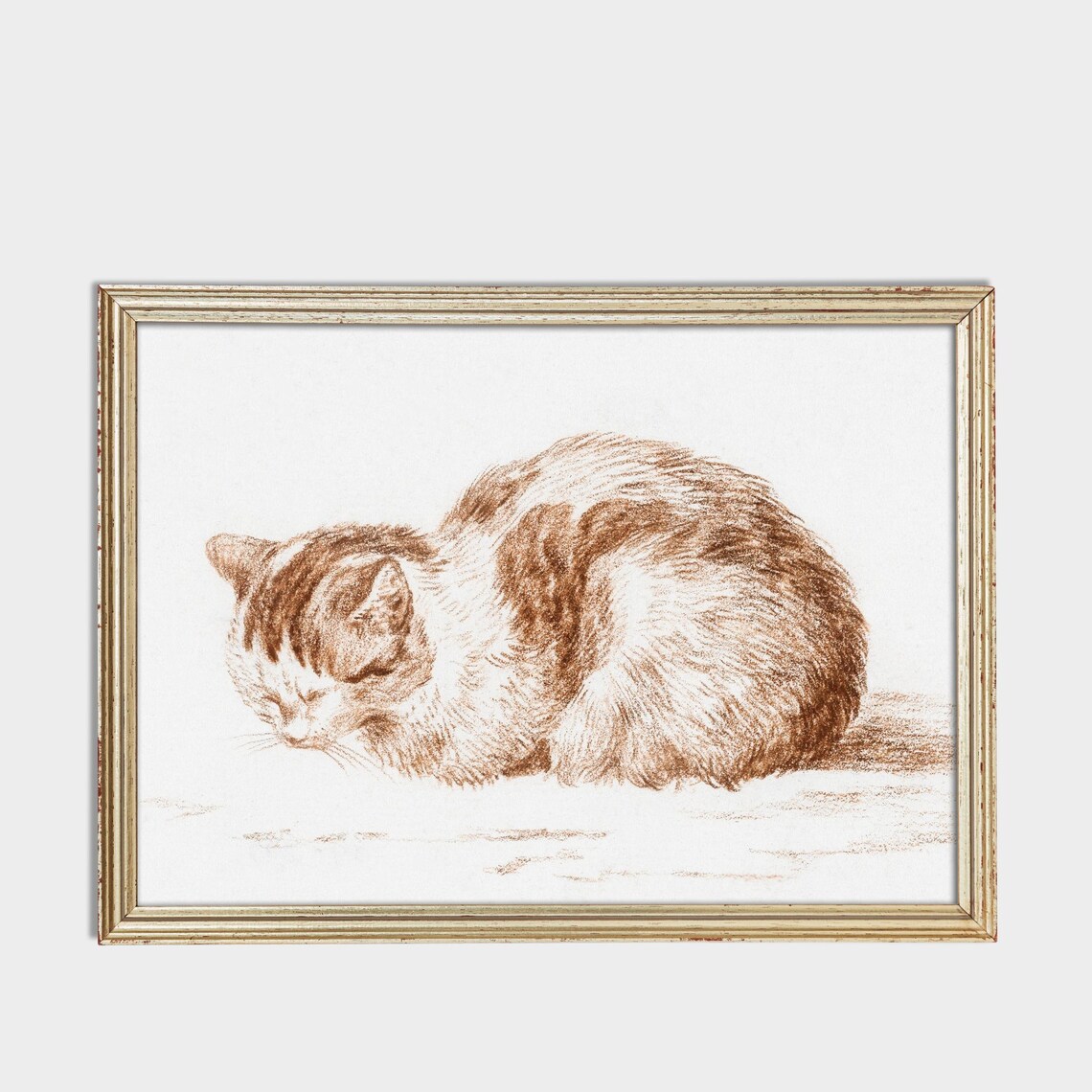 Curled Sleeping Cat in Sepia Red Chalk Vintage Sketch Poster - Image 3