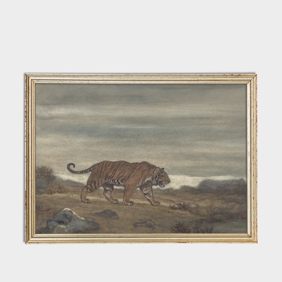 Tiger Walking Rocky Grassland Plain Vintage Wildlife Painting Poster - Image 3