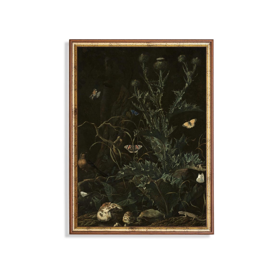 Dark Forest Floor with Thistles Butterflies and Moth Still Life Poster