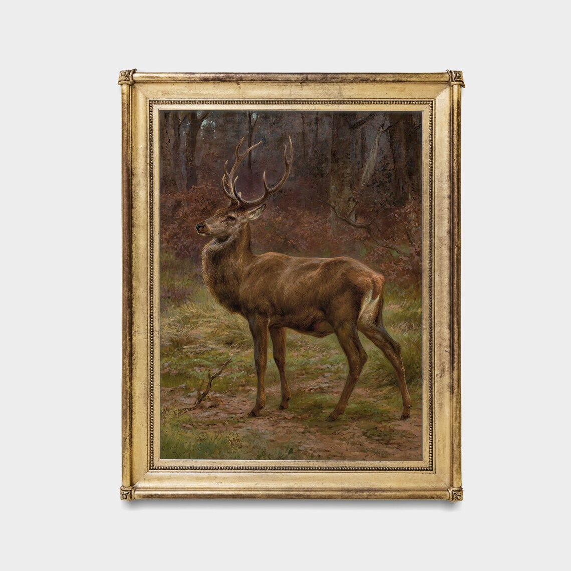 Majestic Red Deer Stag With Grand Antlers in the Forest Poster - Image 2