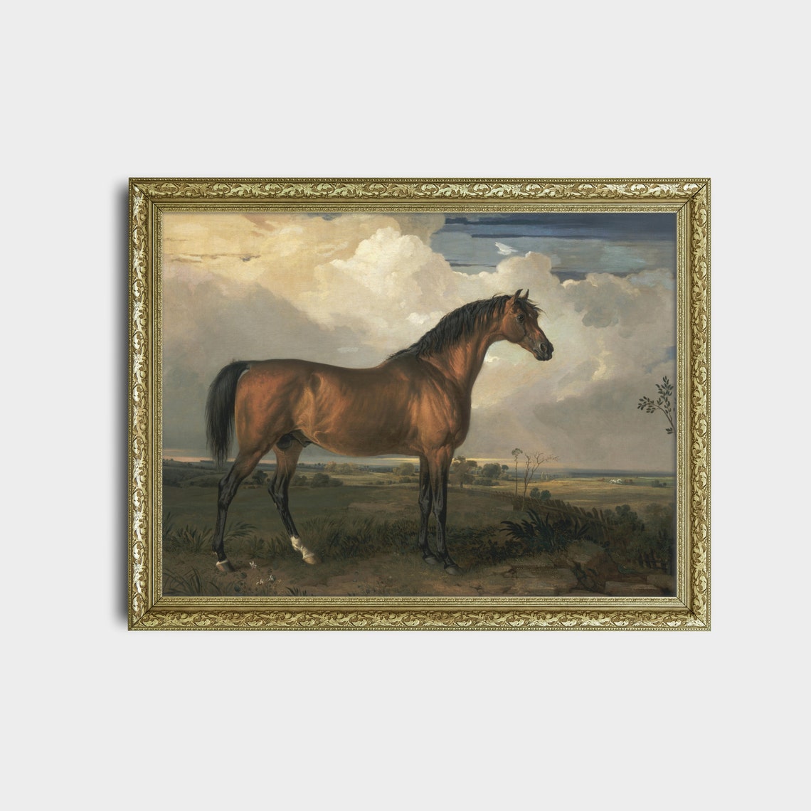 Chestnut Arabian Horse Standing in Pasture Equestrian Poster - Image 2