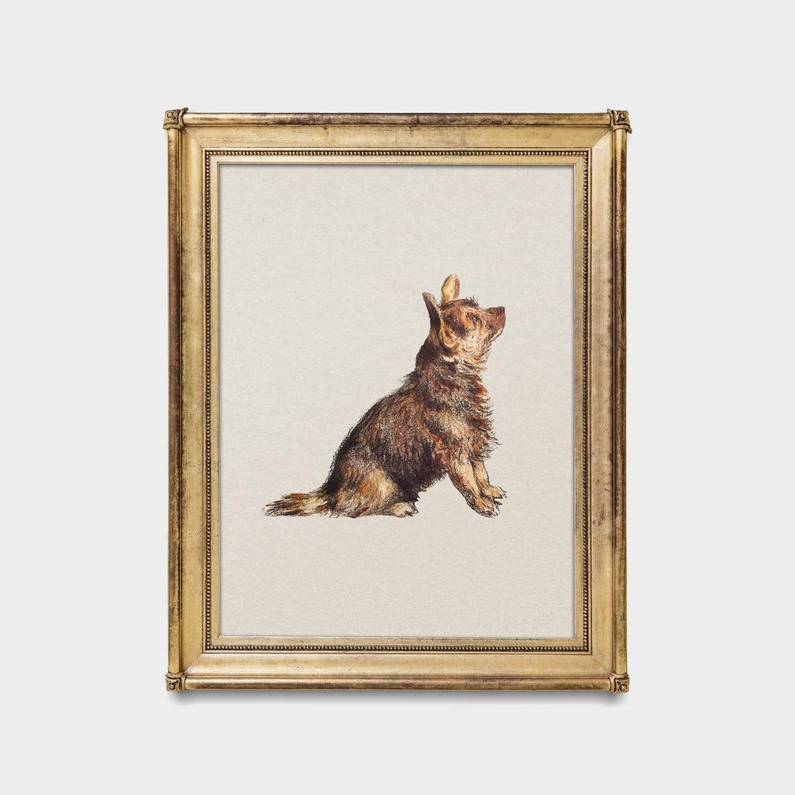 Small Brown Terrier Sitting and Looking Up Sketch Study Poster - Image 5