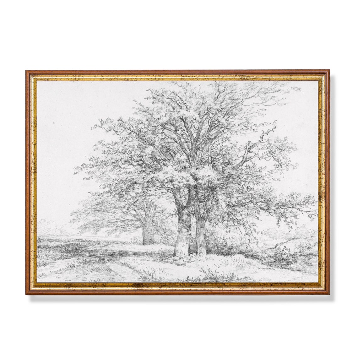 Vintage Sketch Drawing Antique Landscape Drawing Trees Sketch Print Neutral Farmhouse Decor Wall Art