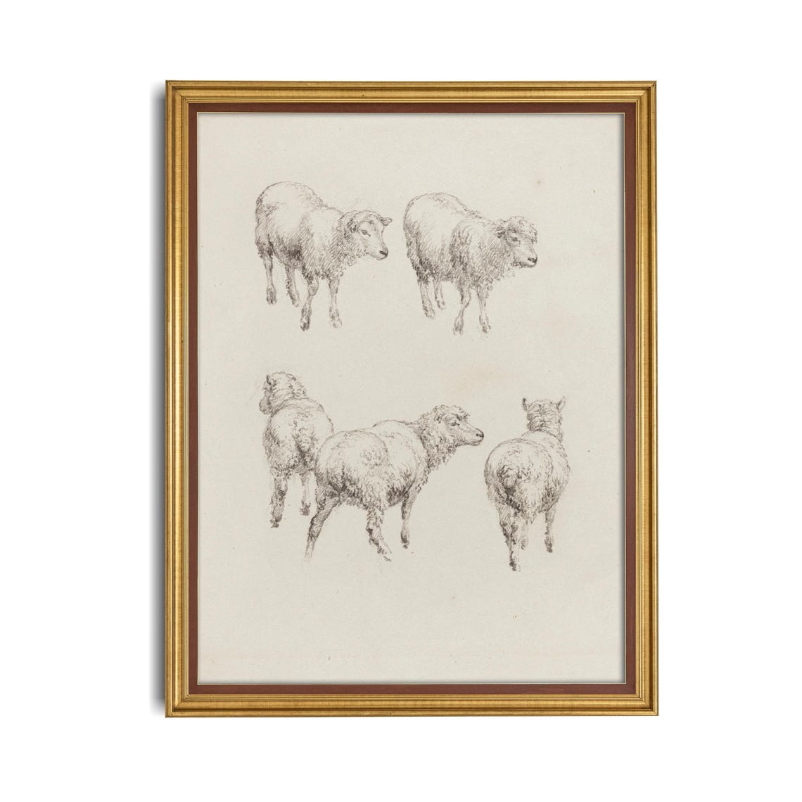 Five Sheep Vintage Pencil Sketch Animal Study Drawing Poster - Image 4