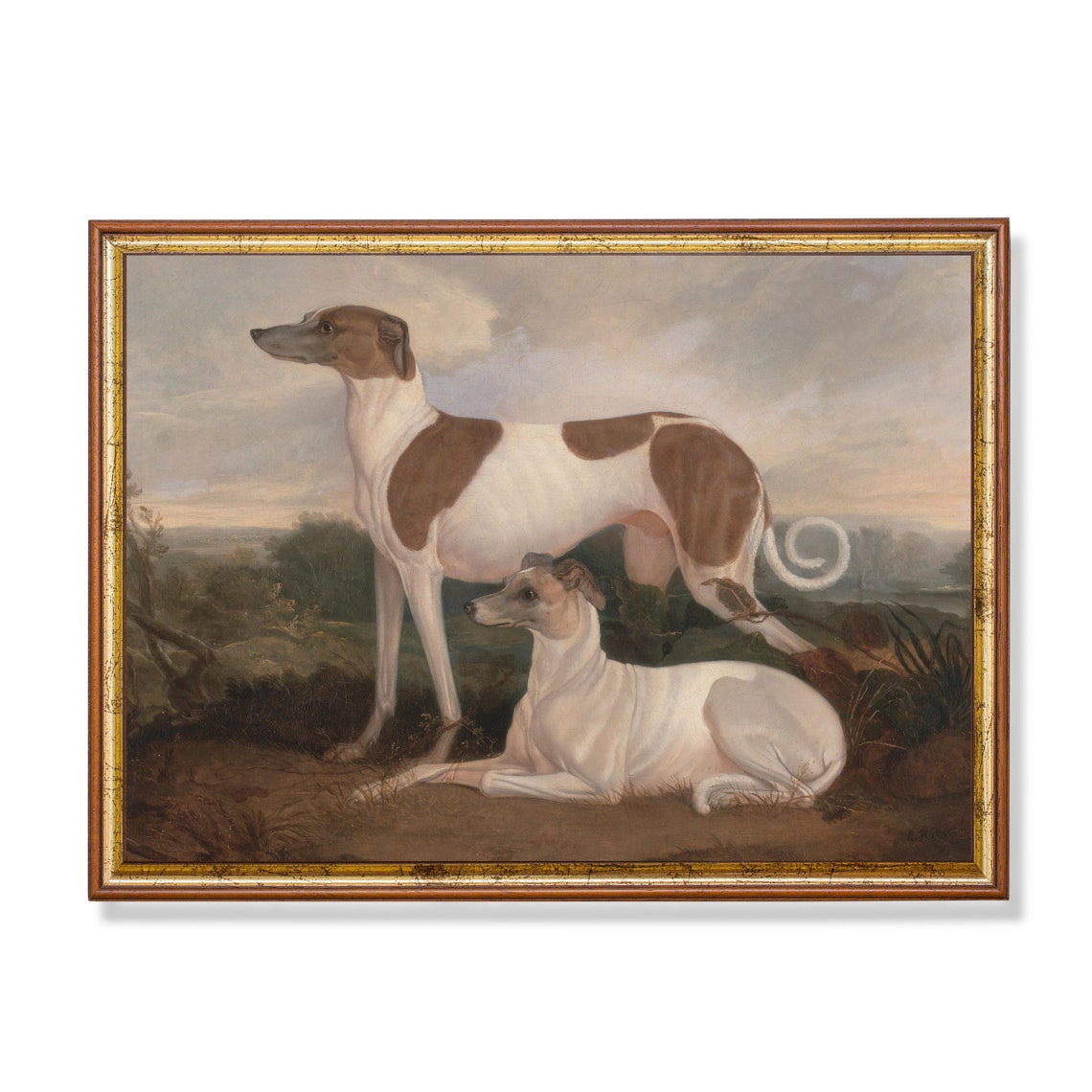 Printed And Shipped Vintage Dogs Painting Antique Animal Art Moody Painting Farmhouse Decor 18th Century Art Physical Prints