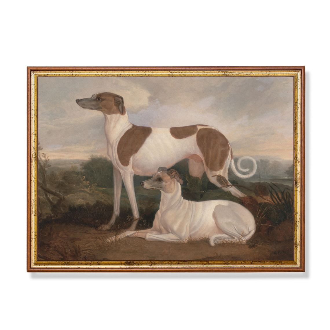 Two Greyhounds in a Field Antique Sporting Dog Painting Poster