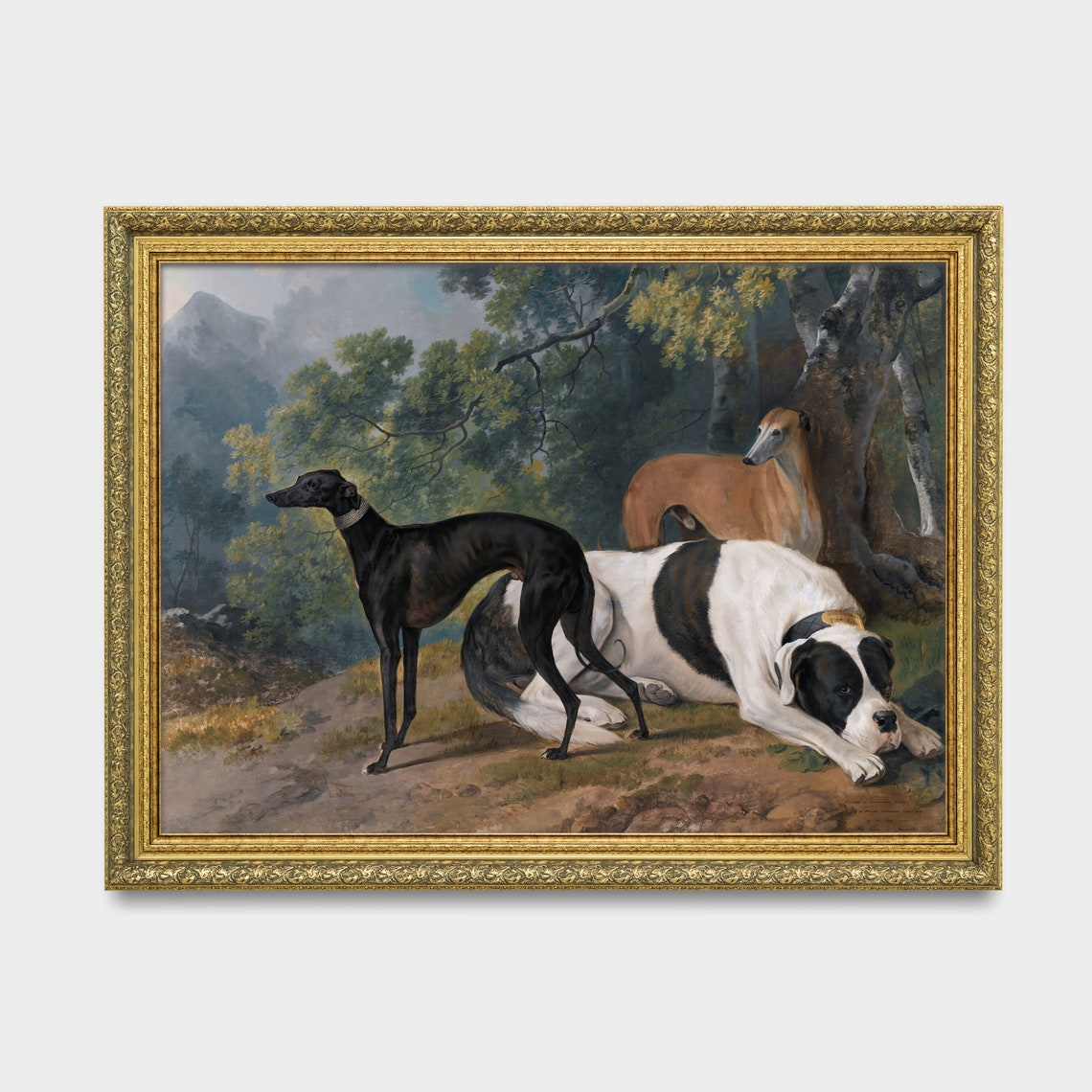 Greyhounds And Mastiff Resting In The Woodland Forest Poster - Image 3