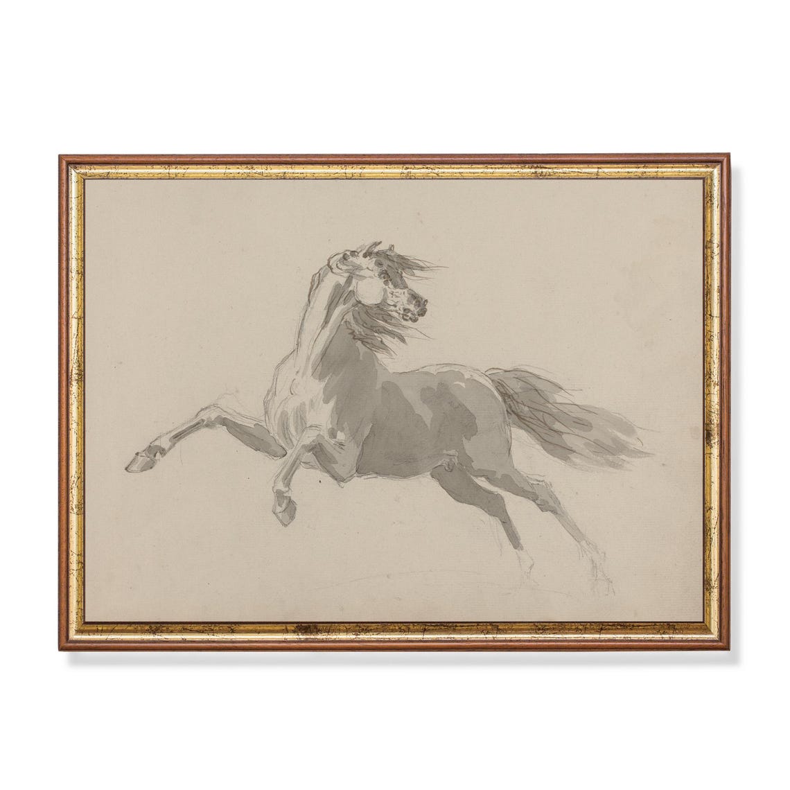 Galloping Horse Dynamic Motion Study Vintage Equine Sketch Poster