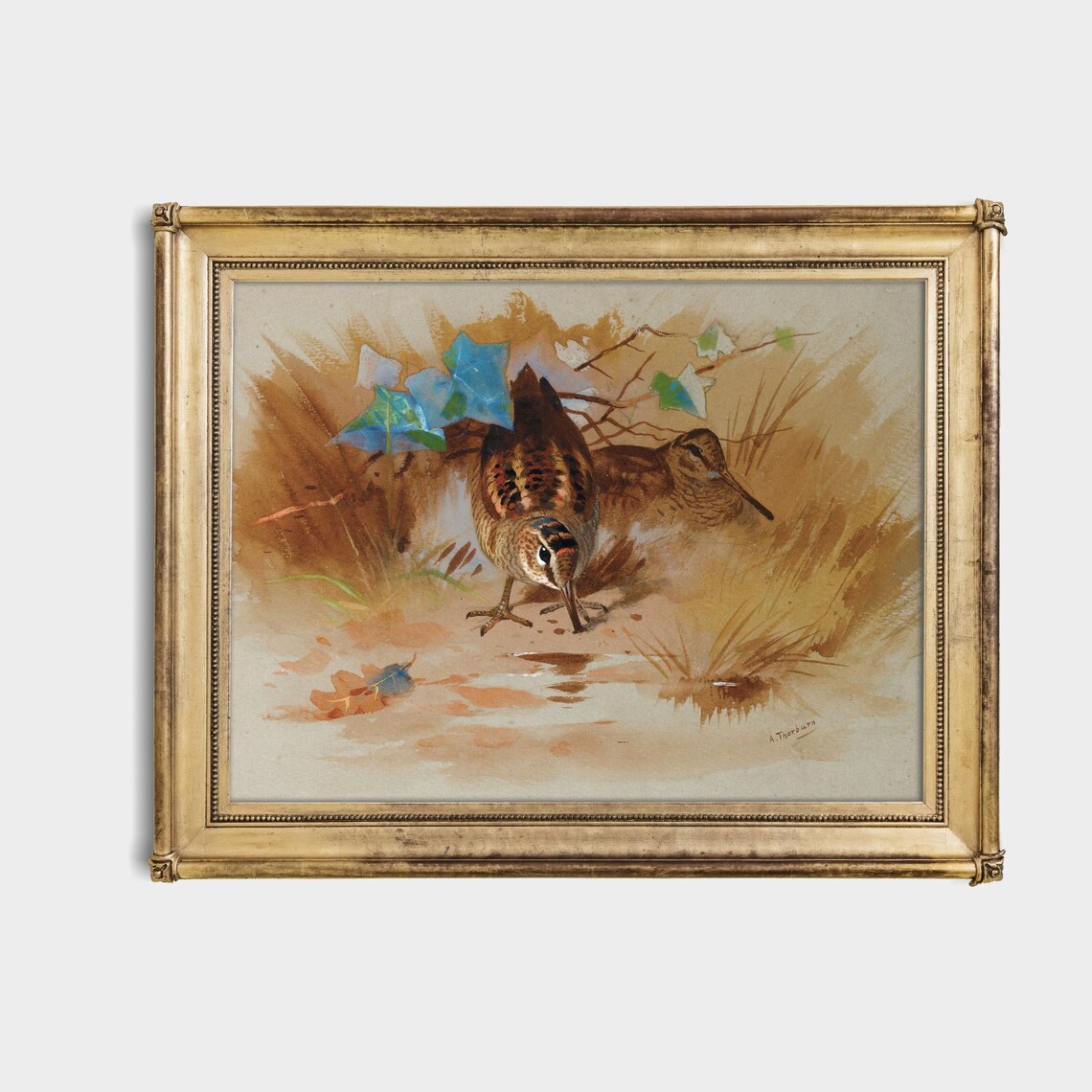 Pair Of Woodcock Game Birds In A Woodland Clearing Vintage Poster - Image 4