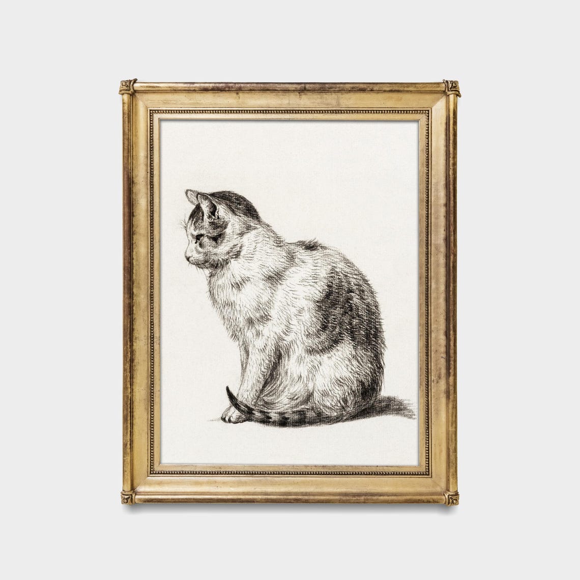 Seated Tabby Cat in Profile Vintage Graphite Pencil Study Poster - Image 5