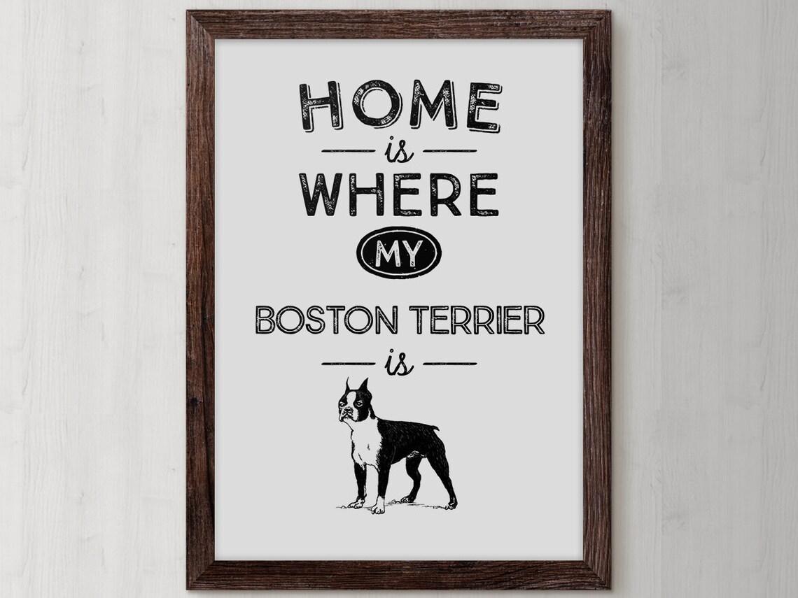 Boston Terrier Art Print, Dog Lover Wall Decor