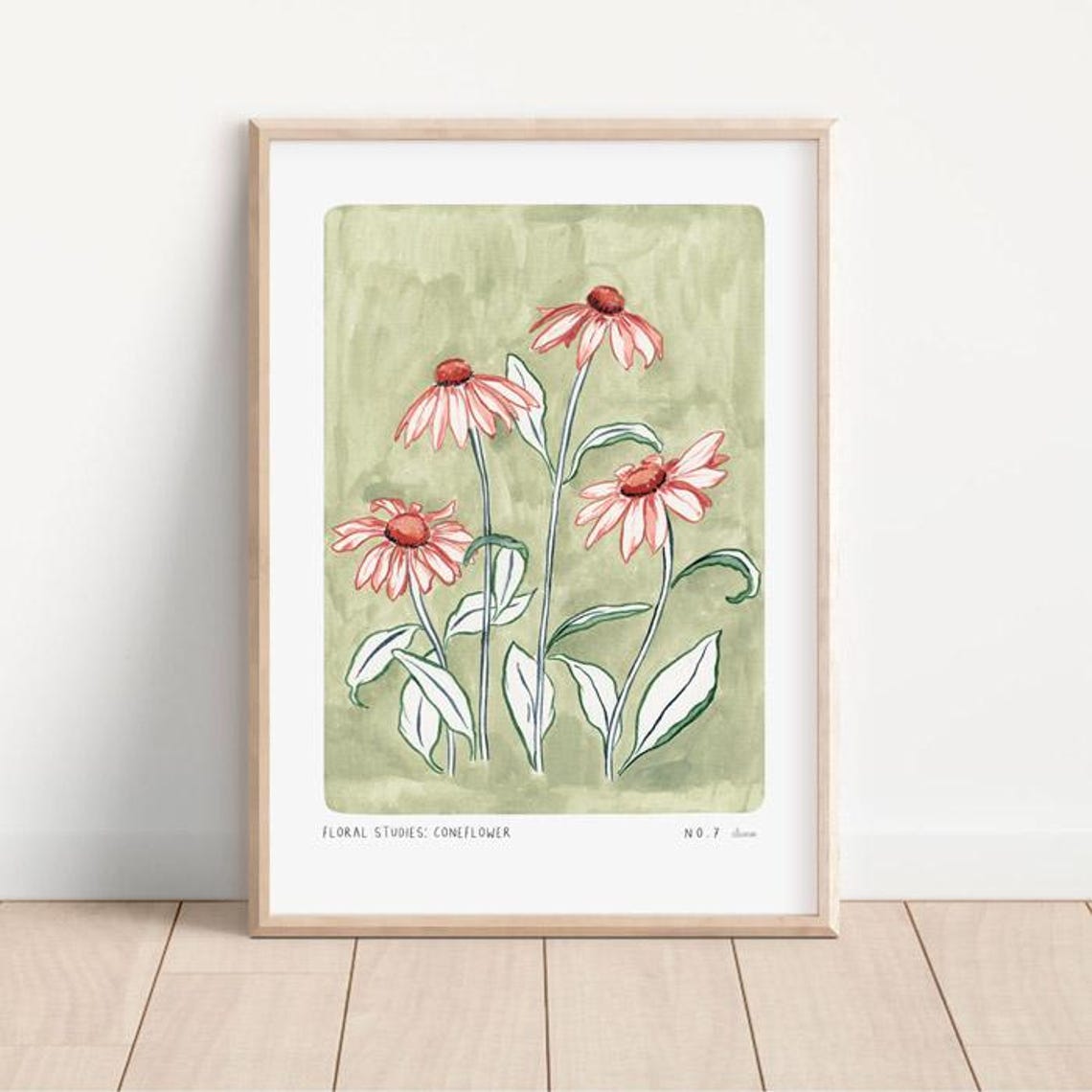Coneflower Floral Studies Art Print, Farmhouse Decor