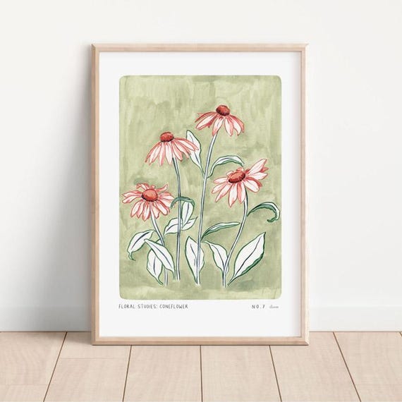 Coneflower Floral Studies Art Print, Farmhouse Decor