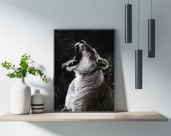 Yawning Lion Poster Wall Art Poster Print Wall Decor Wildlife Nature Animals Lions Yawning Majesty Contemporary Home Decor