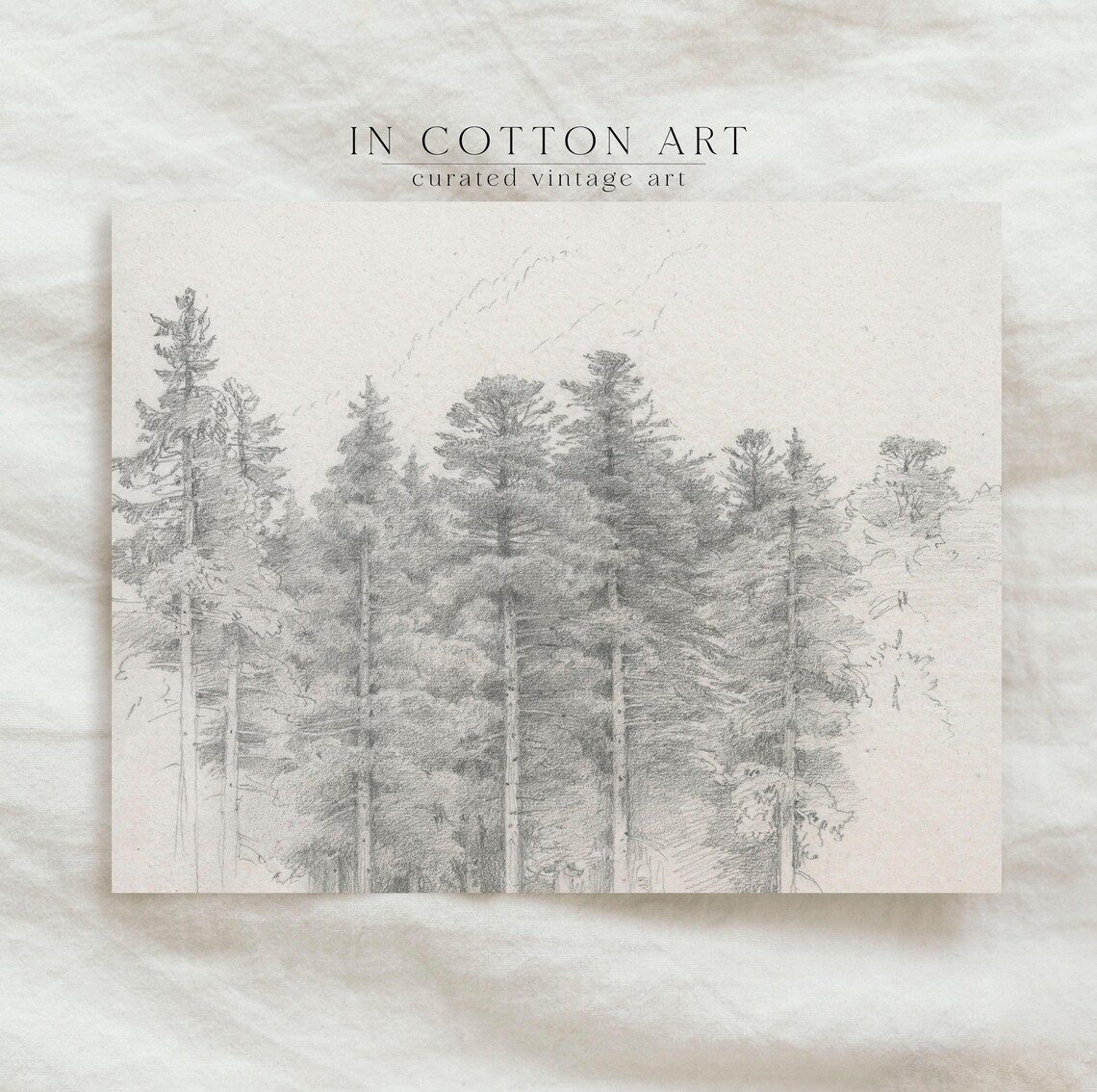 Neutral Botanical Vintage Sketch, Rustic Art Print