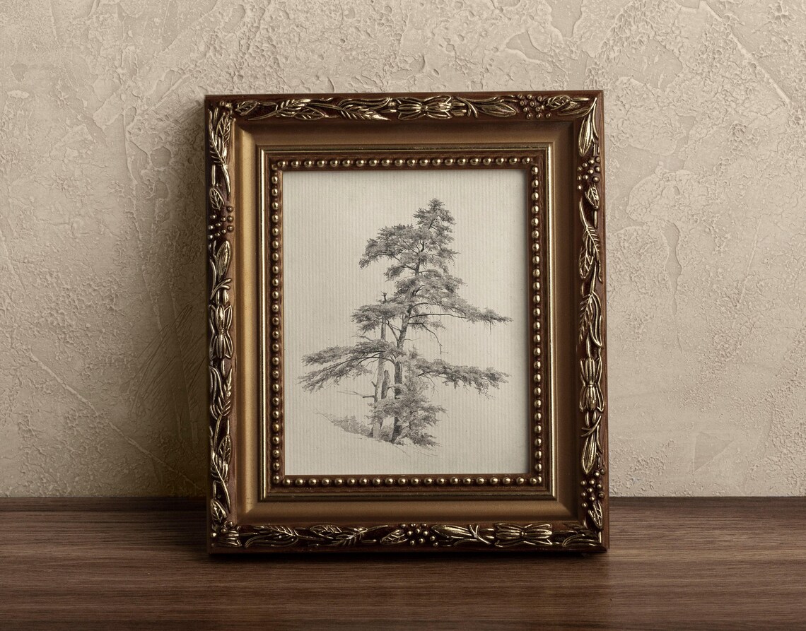 Rustic Pine Tree Drawing, Vintage Nature Sketch - Image 3