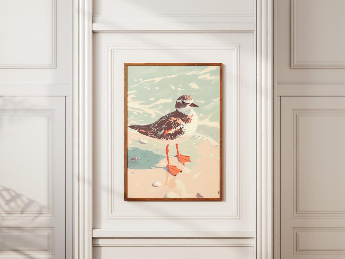 Ruddy Turnstone Shorebird Standing on Sandy Beach Coastal Poster - Image 2