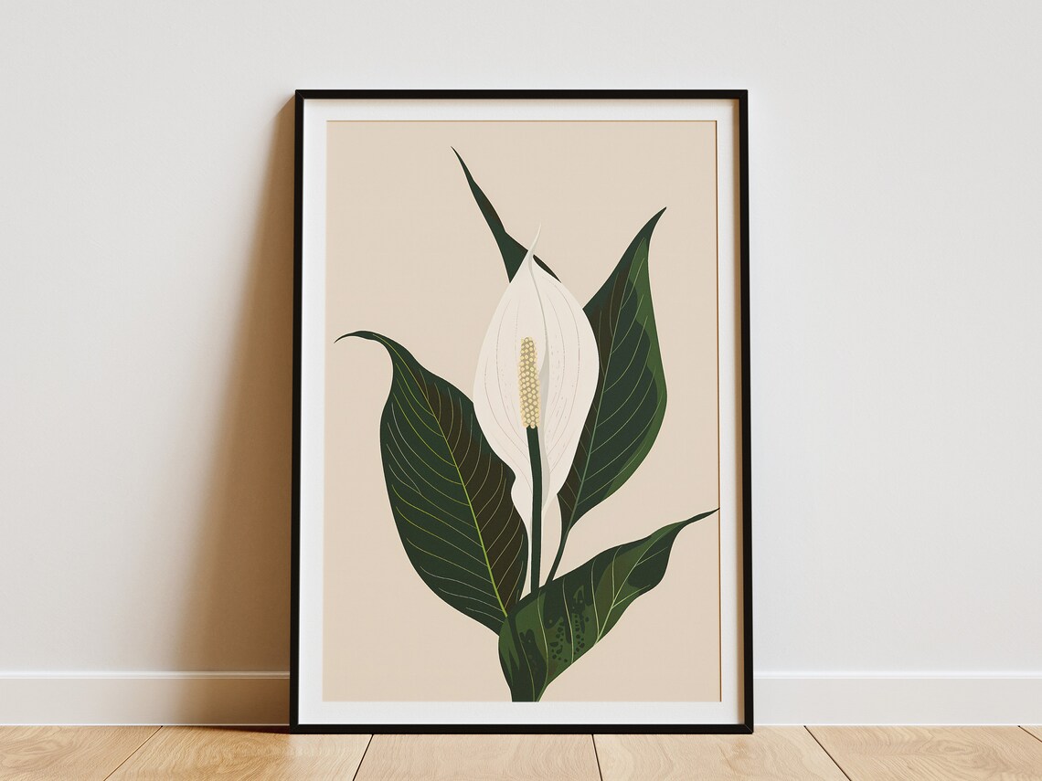 Elegant White Peace Lily Bloom Minimalist Botanical Art Poster