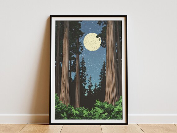 Redwood National Park Moonlit Forest Under Full Moon Night Poster