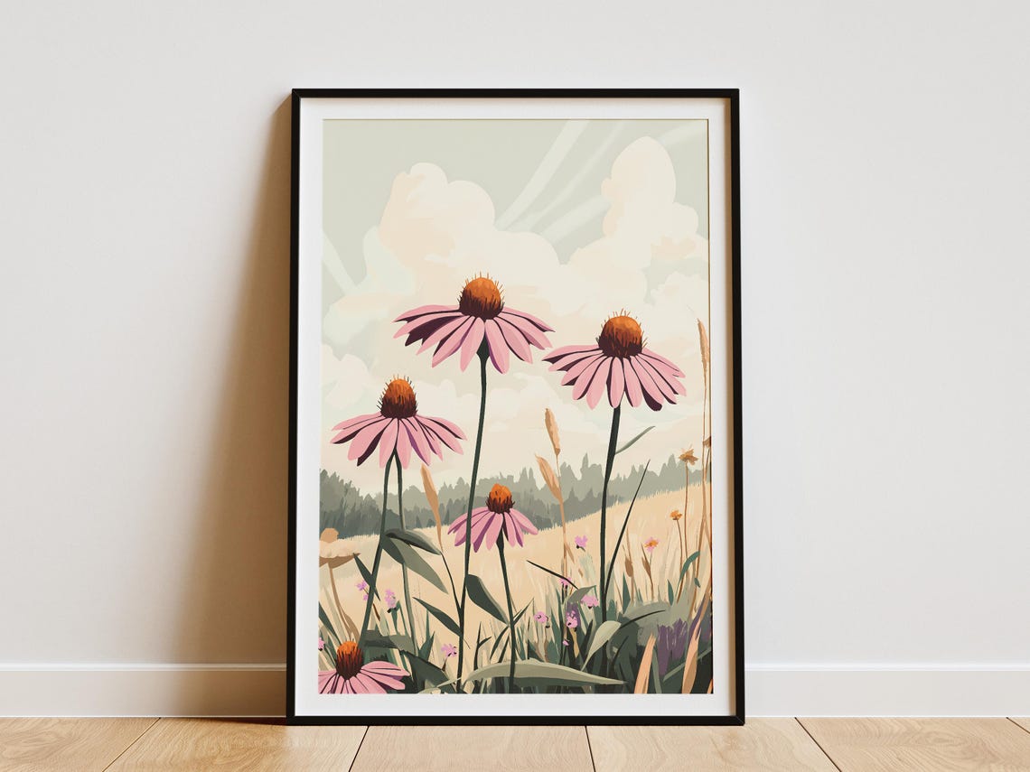 Pink Coneflower Prairie Meadow Botanical Illustration Poster
