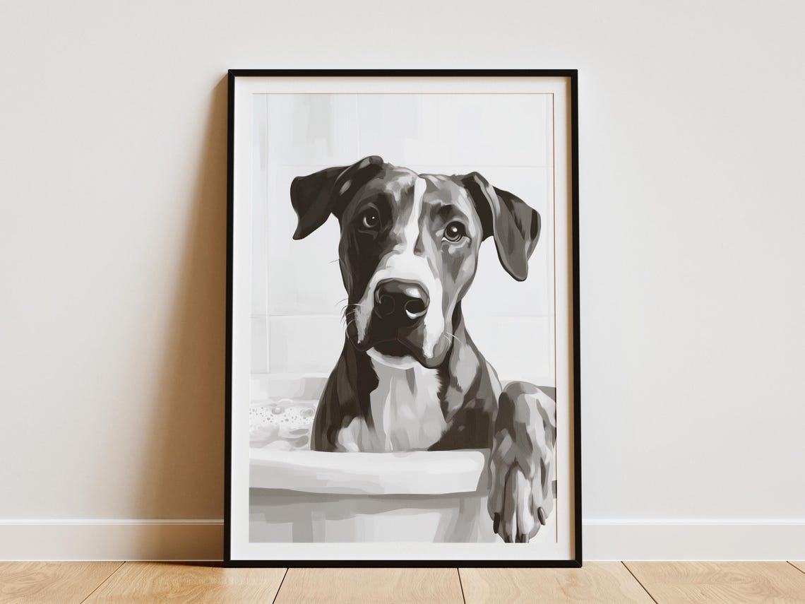 Great Dane Gentle Giant in Bathtub Black and White Dog Decor Poster