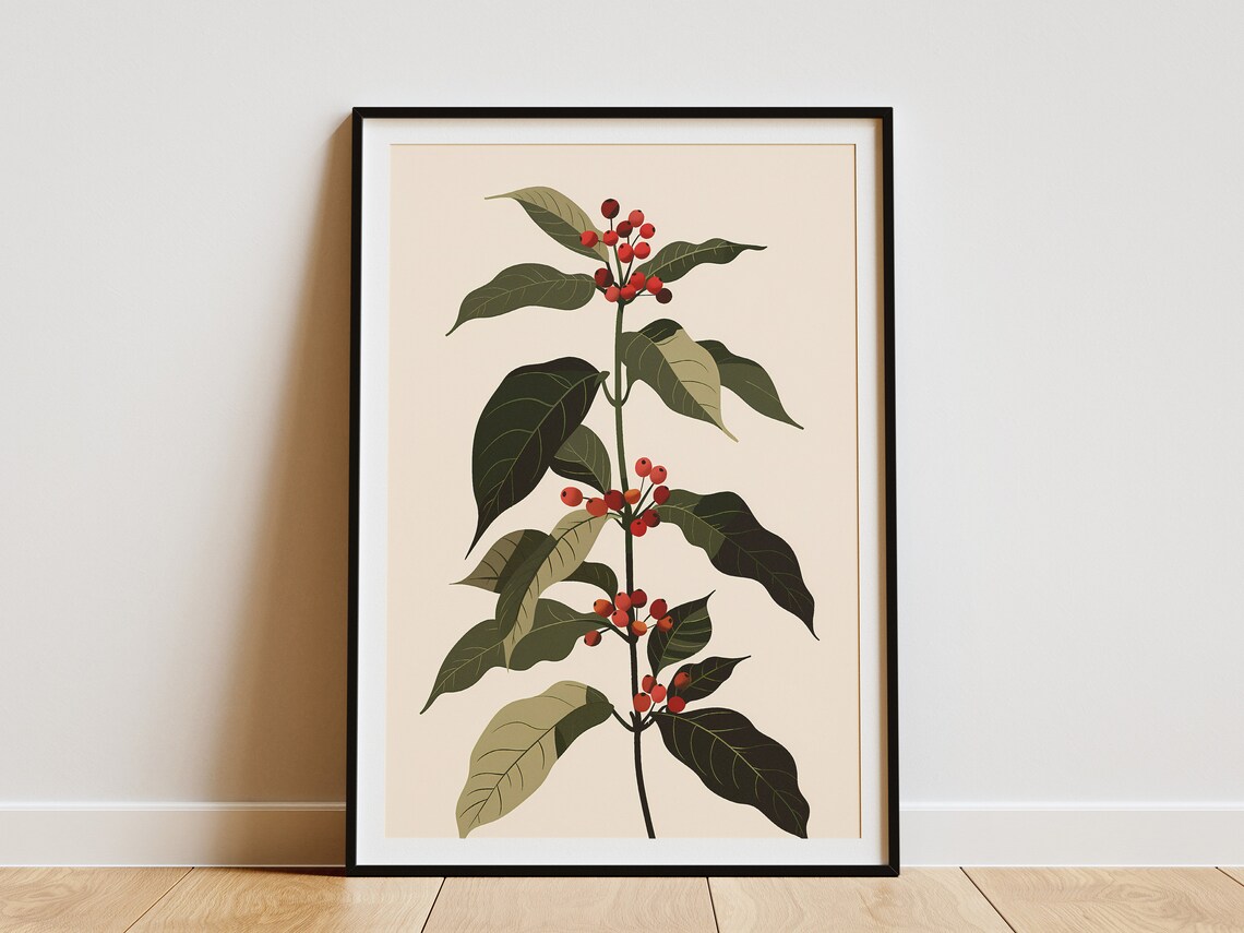 Coffee Plant Red Berries Branch Botanical Illustration Poster