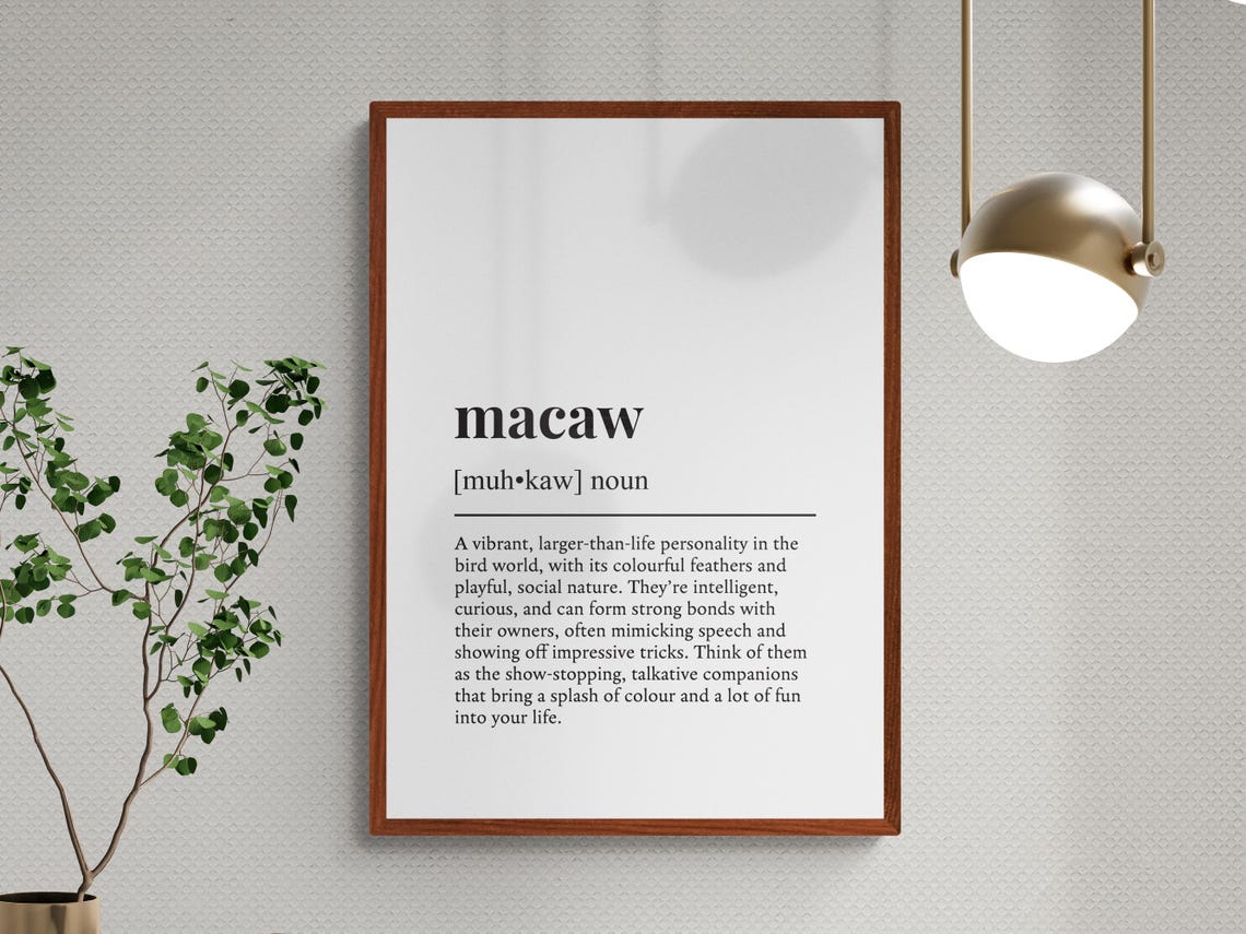 Macaw Dictionary Definition Print Funny Gift Bird Lover Decor - Image 3
