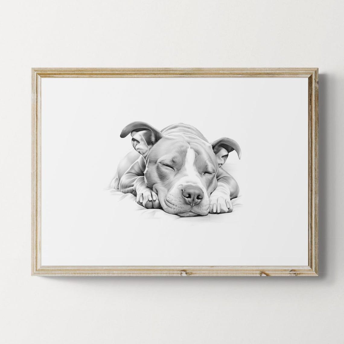 Staffordshire Bull Terrier Sleeping Vintage Pencil Sketch Wall Art