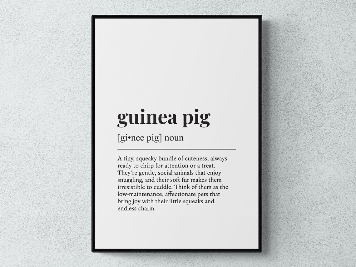 Guinea Pig Funny Definition Pet Gift Art Print