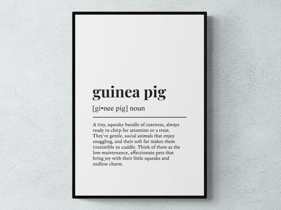 Guinea Pig Funny Definition Pet Gift Art Print
