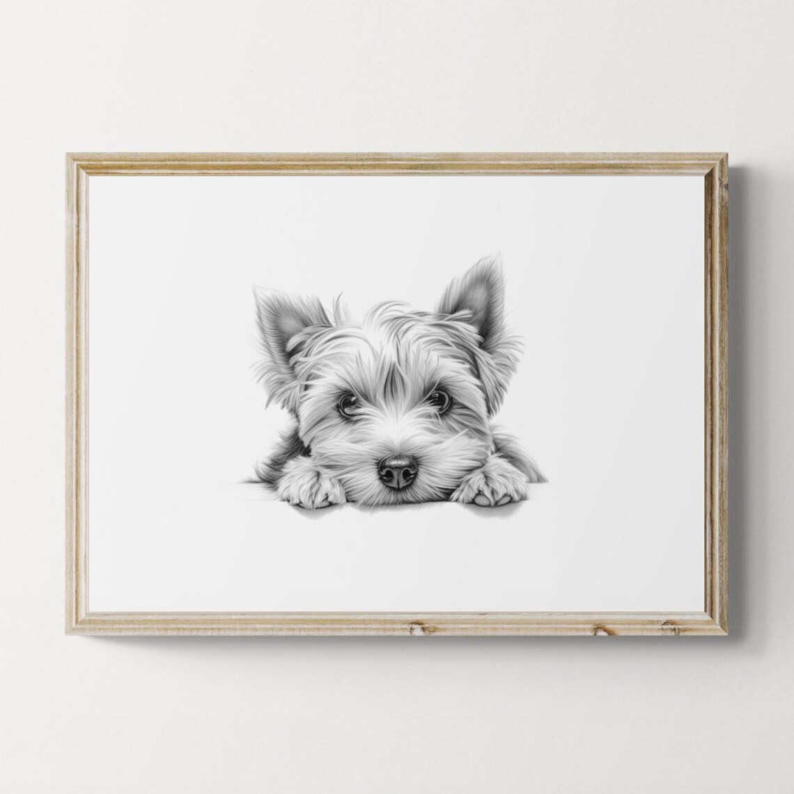 Yorkshire Terrier Yorkie Silky Puppy Sketch Vintage Dog Poster