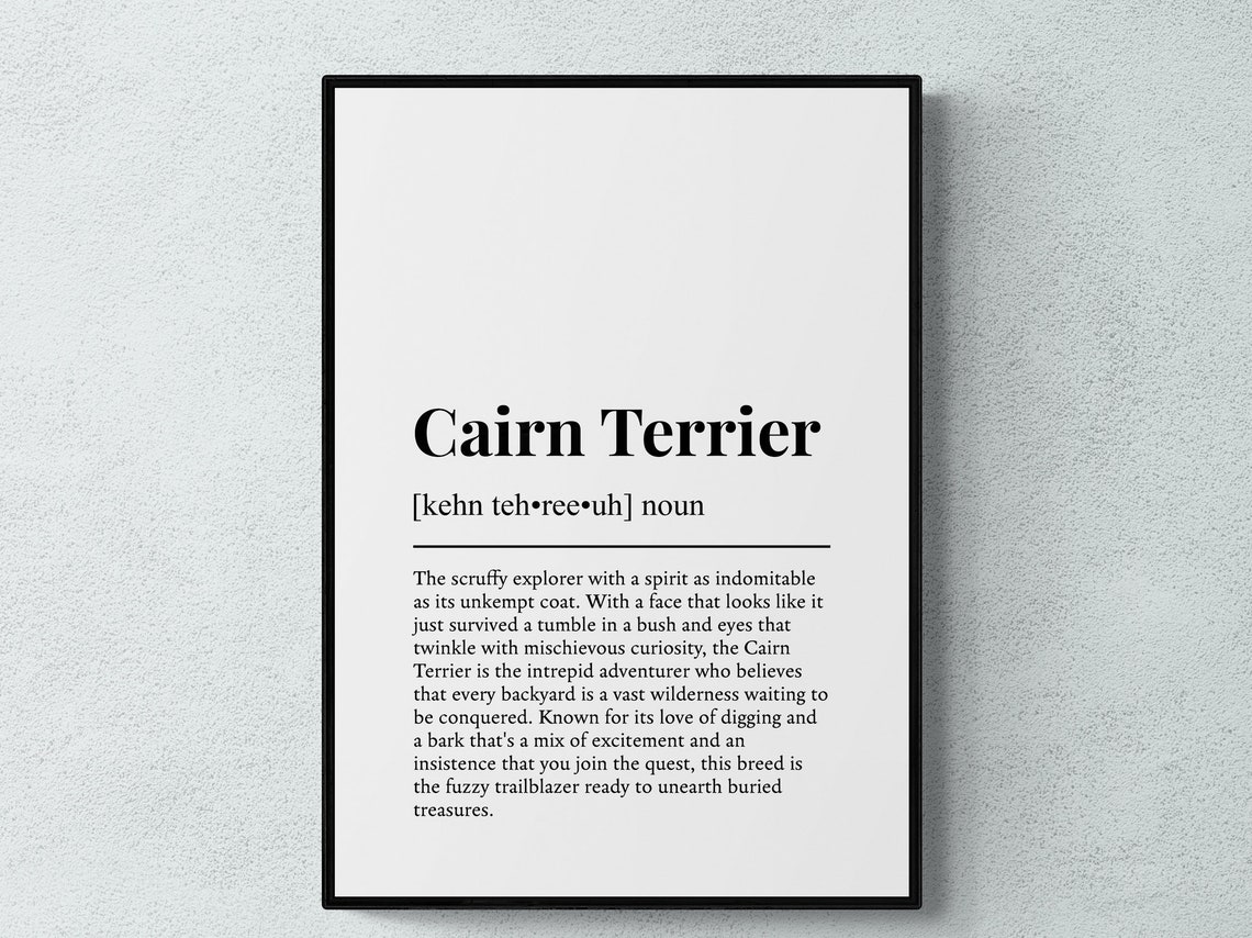 Cairn Terrier Funny Dictionary Definition Small Dog Breed Gift Poster