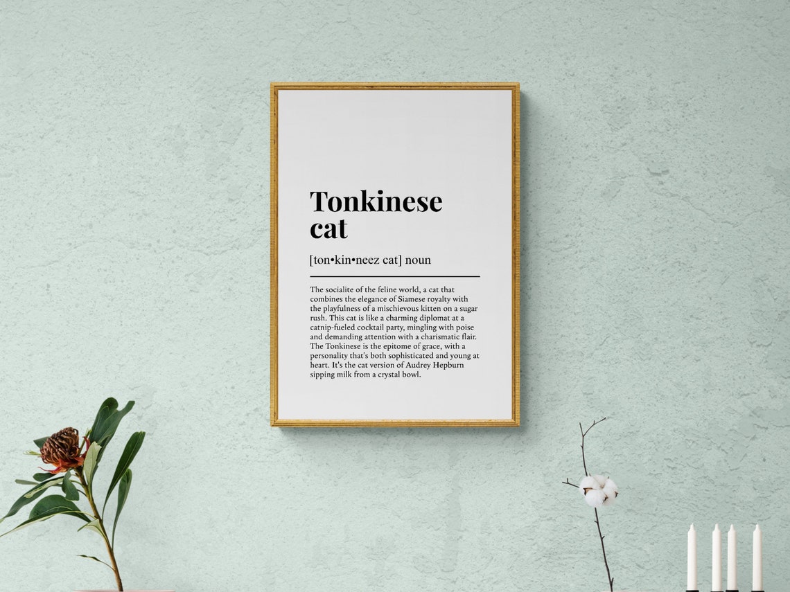 Tonkinese Cat Funny Dictionary Definition Breed Black White Wall Art - Image 2